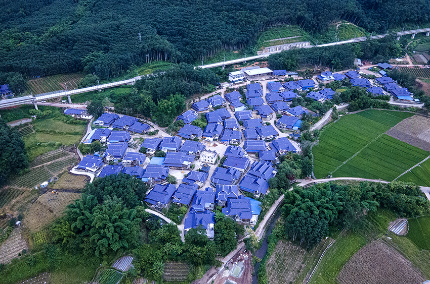 磨憨鎮(zhèn)曼莊村大龍哈小組現(xiàn)代化邊境幸福村新貌。人民網(wǎng)記者 符皓攝